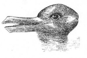 Duck/Rabbit illusion